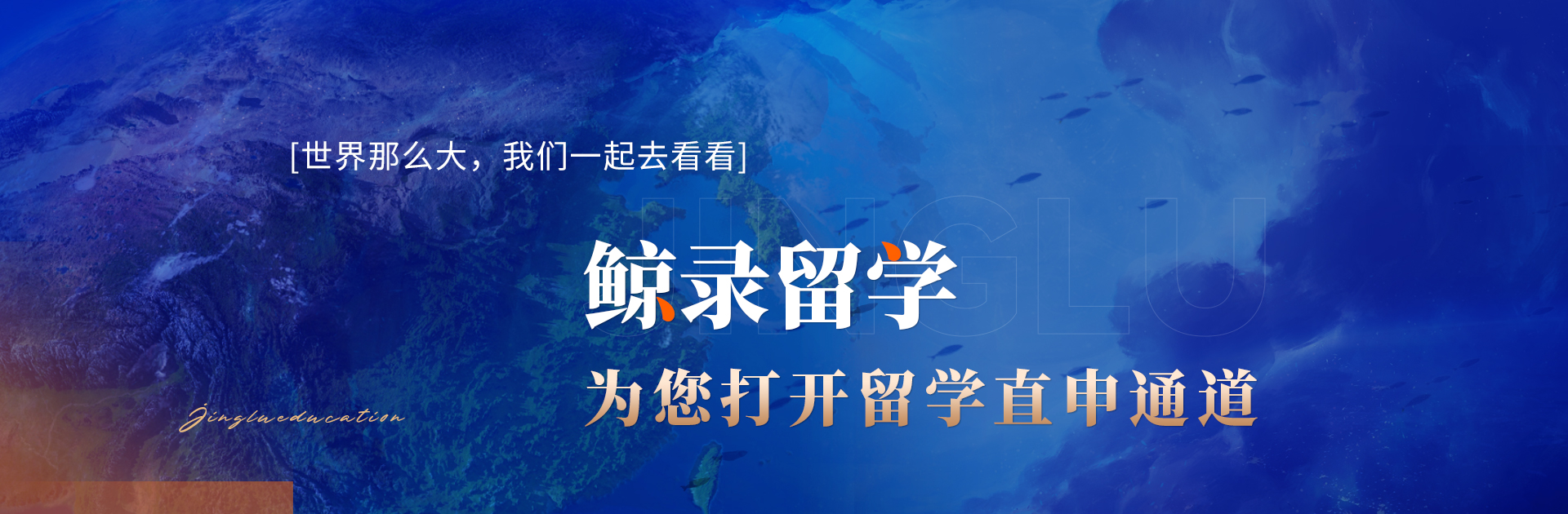鲸录留学申请