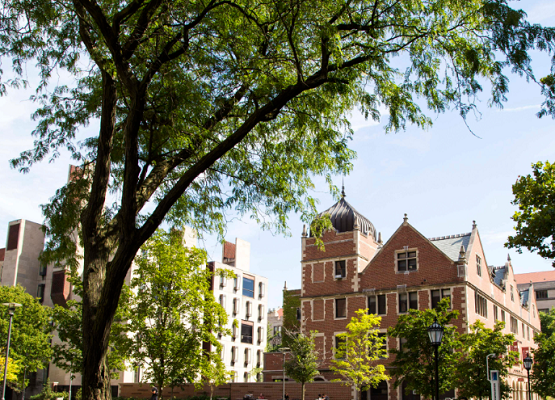 奥克兰大学硕士申请