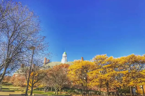 2025fall英国大学开始降分捞人，双非生赶紧冲！