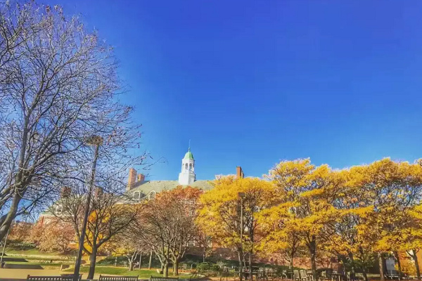 澳洲数据科学申请