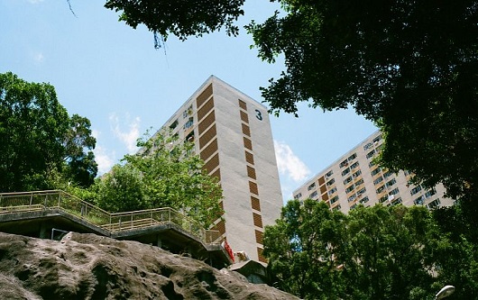 香港岭南大学AI专业申请