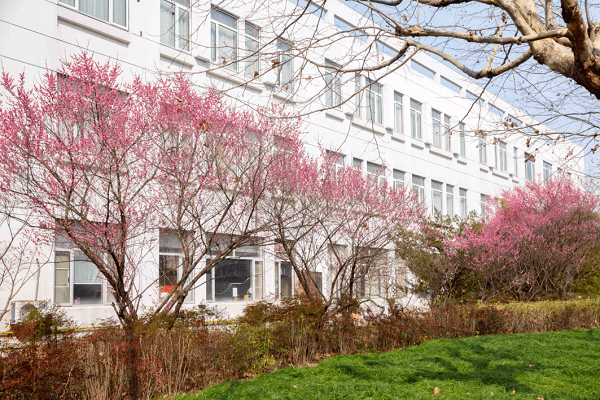 本科留学英国申请具体要求 本科留学英国申请具体要求