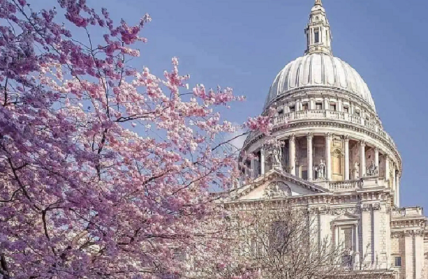 英国AI专业留学申请 英国AI专业留学申请